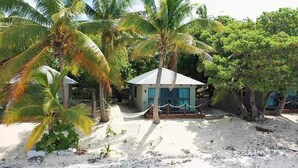 A small, single-story building with a thatched roof, surrounded by palm trees and sandy ground.