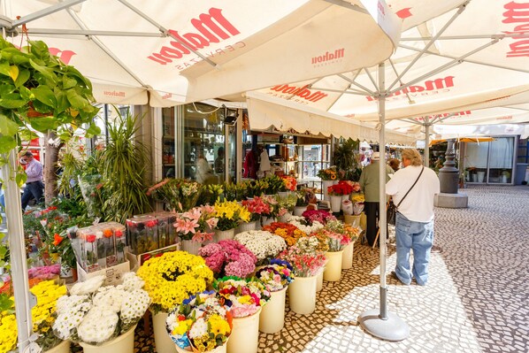 A flower market with various colorful flowers displayed under umbrellas. - Flor de LIZ Apartment by Cadiz4Rentals (Cádiz)
