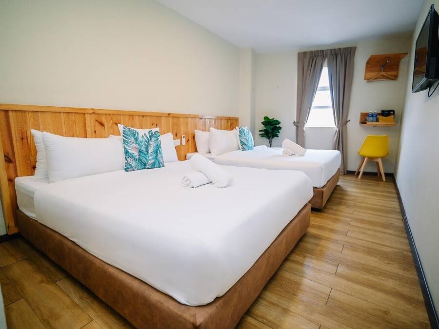 A hotel room with two beds, wooden headboards, white bedding, a small plant, a TV, and a yellow chair.
