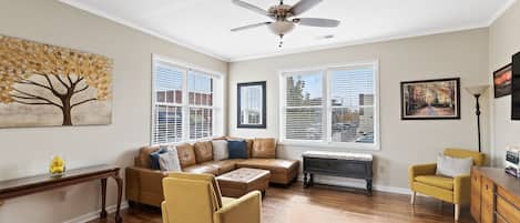 TV, DVD player, books