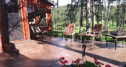 Mount Rushmore 9 miles, Hill City 3 miles! Sleeps 6