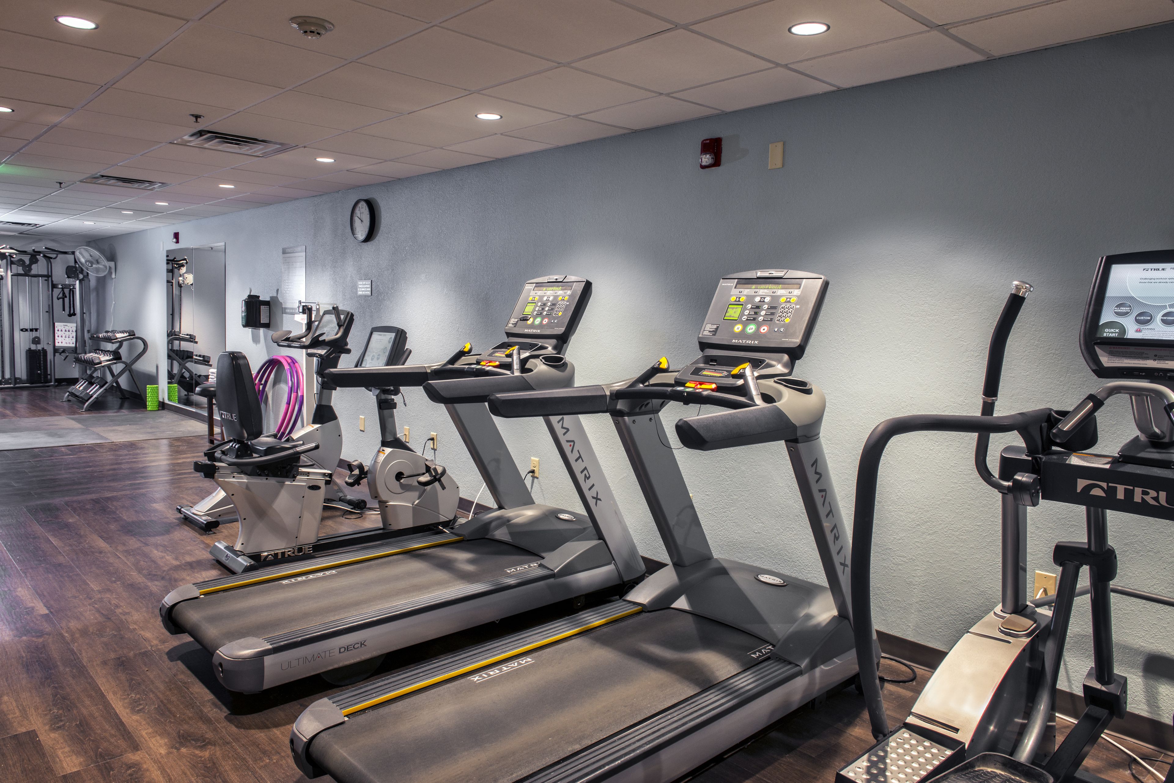 A gym with treadmills, elliptical machines, and a stationary bike.