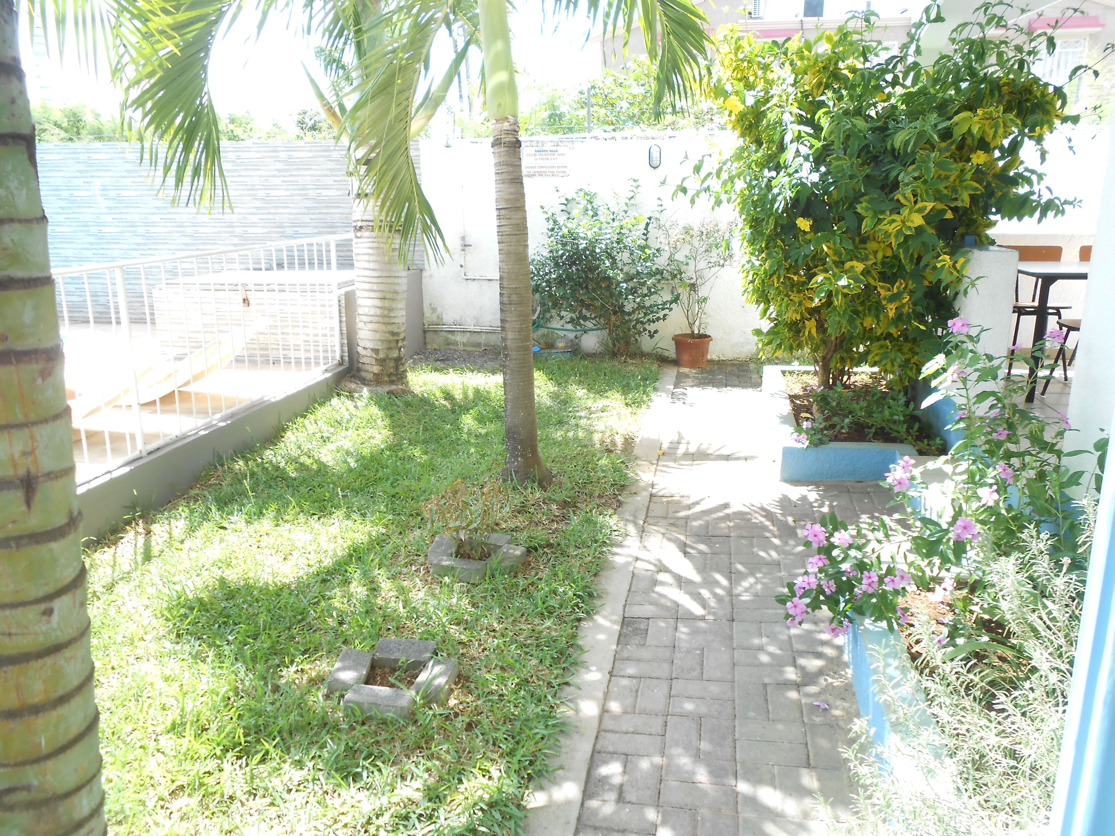 A garden with a paved walkway, palm trees, and flowering plants.