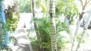 A paved pathway surrounded by various plants and trees, including palm trees and other greenery. - Aquatic Villa Grand Baie Mauritius (Grand-Baie)