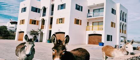 Fachada de la propiedad