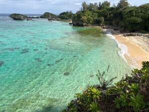 鄰近海灘