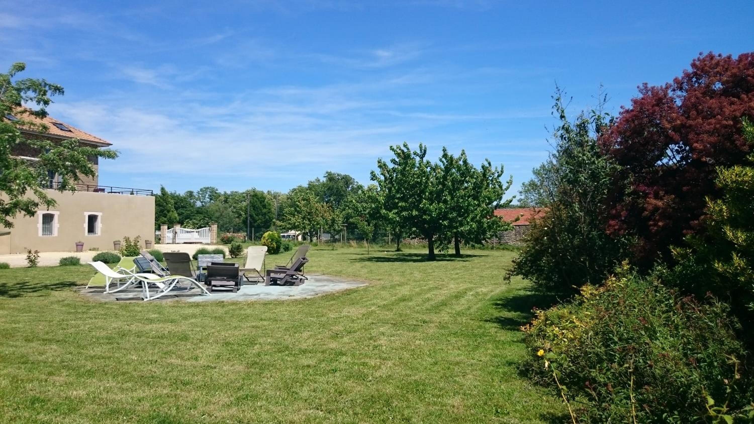 A backyard with a lawn, outdoor furniture, and a tree.
