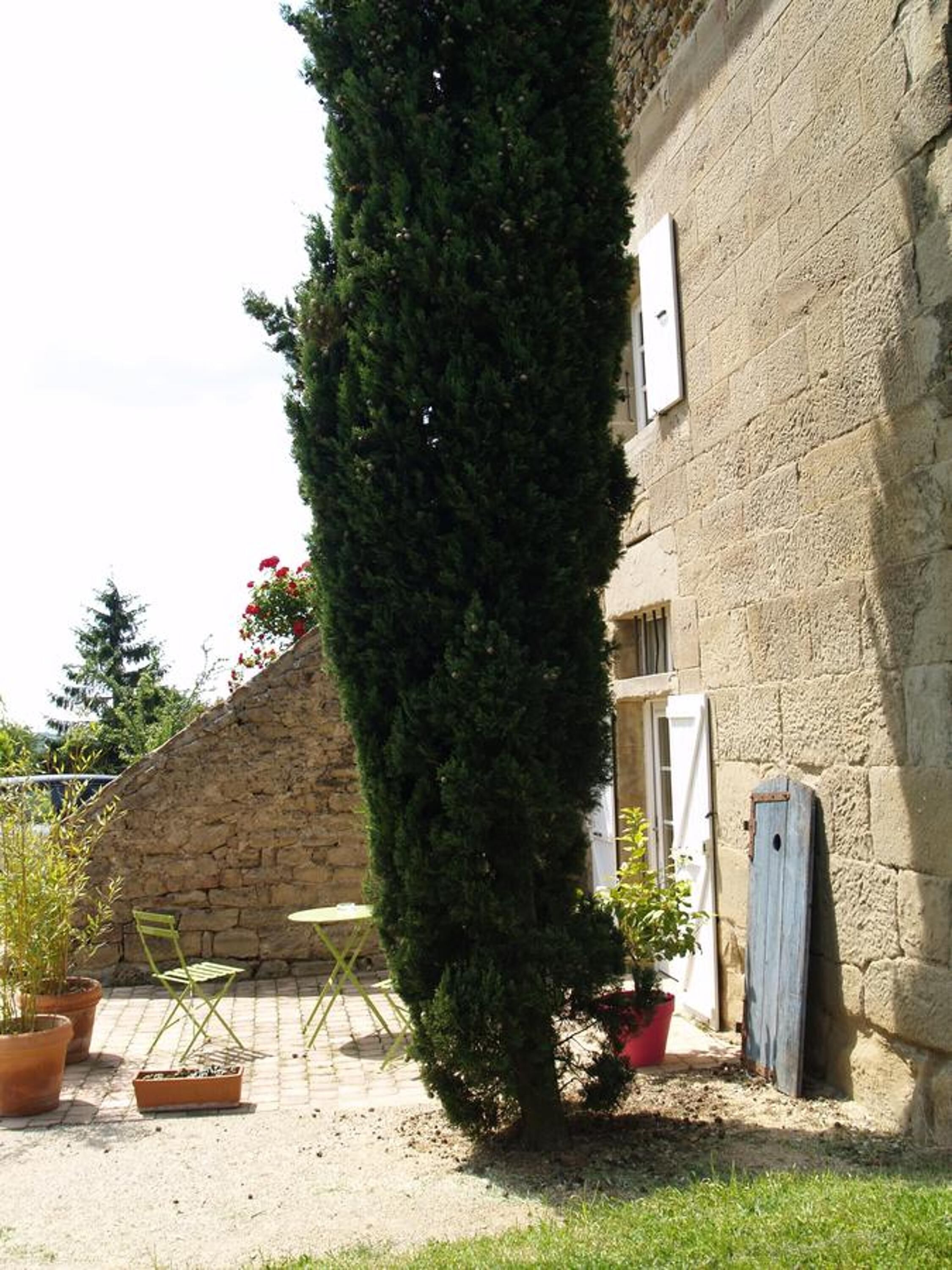 Un edificio de piedra con un árbol alto y esbelto en primer plano. Hay plantas en macetas y una pequeña mesa con sillas afuera.