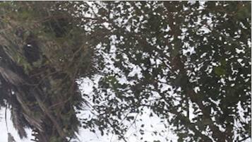 واجهة المنشأة