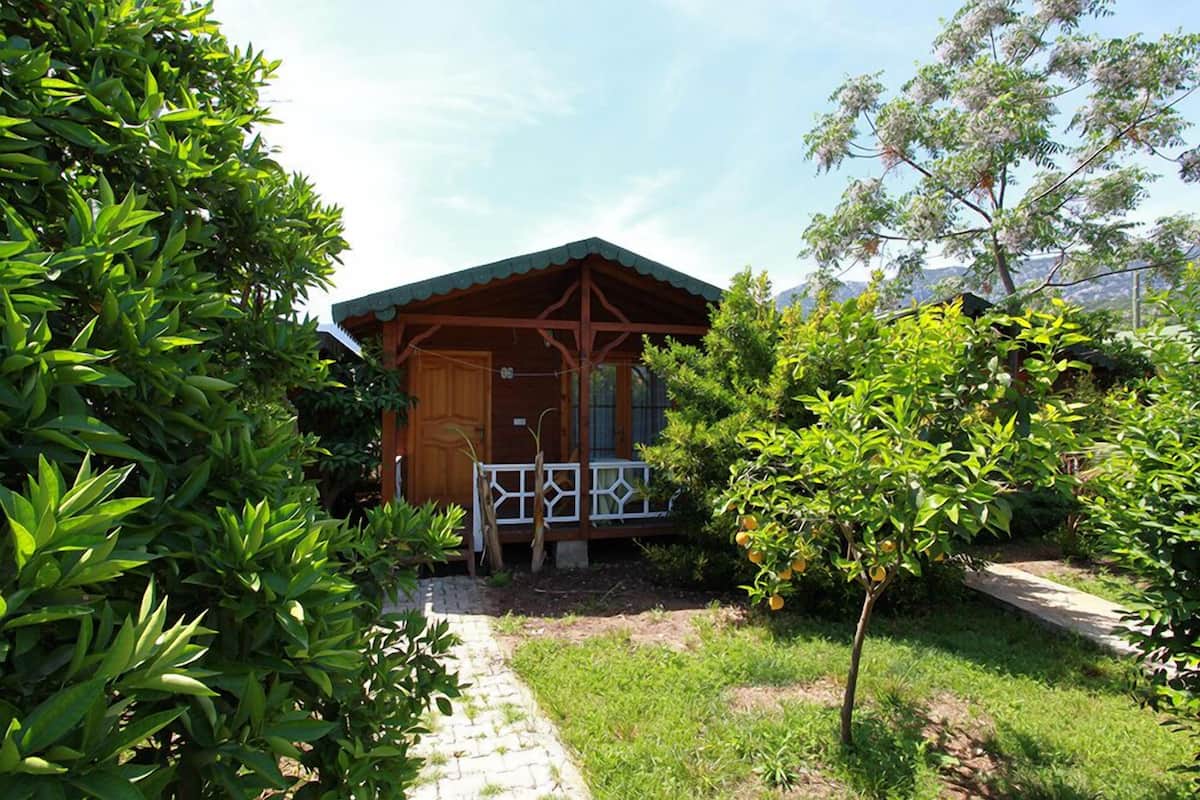 A wooden cabin with a porch, surrounded by lush greenery and a paved path.