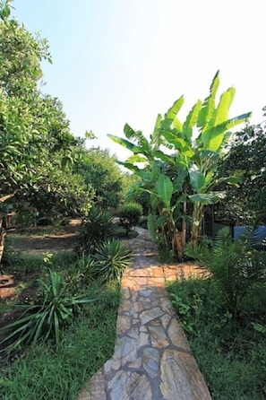 Un sendero de piedra que atraviesa un exuberante jardín con palmeras de plátano y diversas plantas.