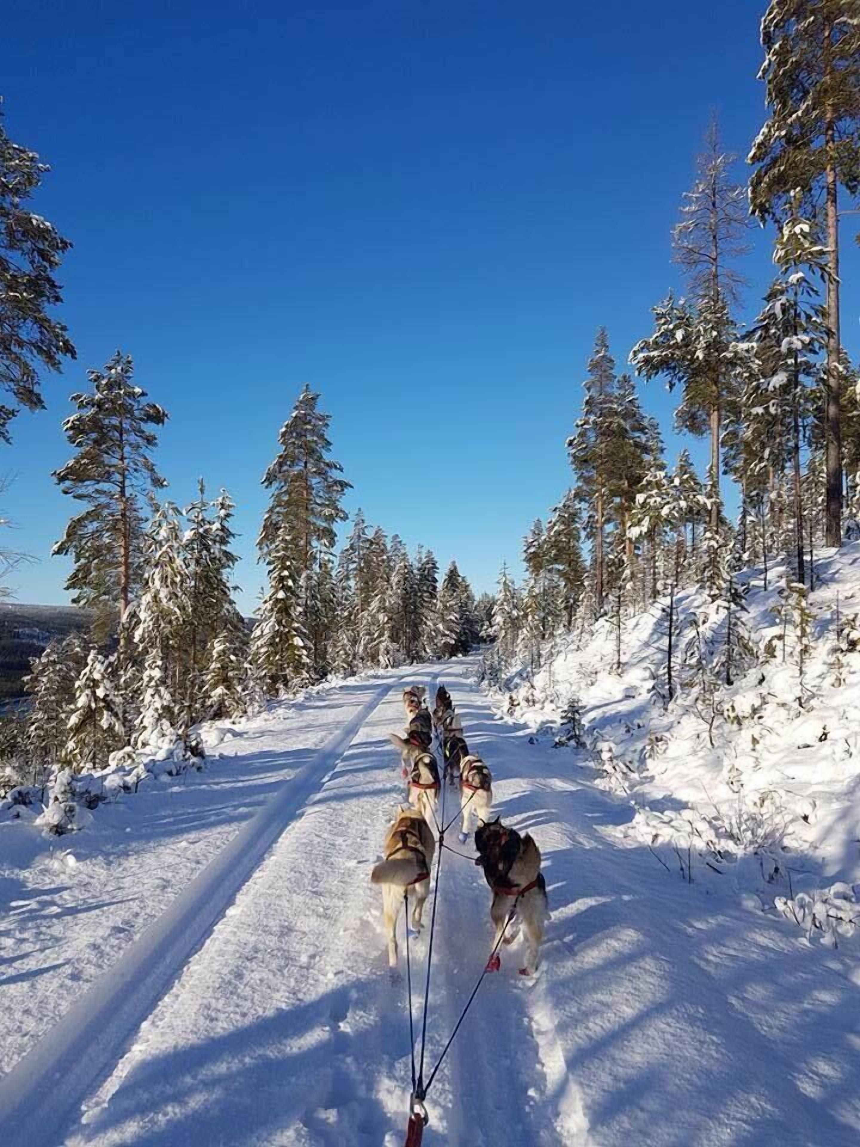 Hiking