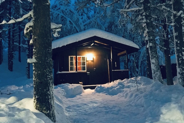 Standard Cabin (1 Family Bunk Bed) | Seterika/papan seterika, Wi-fi percuma