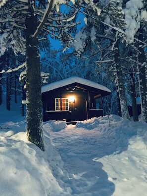 Standard Cabin (1 Family Bunk Bed) | Iron/ironing board, free WiFi - Sæteråsen Hytter & Camping (Trysil)