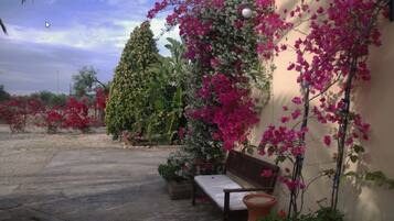 Un patio con un banco, plantas en macetas y enredaderas de buganvilla.