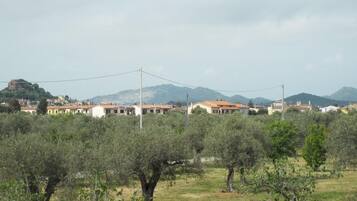 Paisaje rural con olivos y una hilera de casas con tejados rojos.