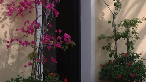Ein weiß gefasster Durchgang, der von zwei Kübeln mit Grünpflanzen und rosa Blüten gesäumt wird.