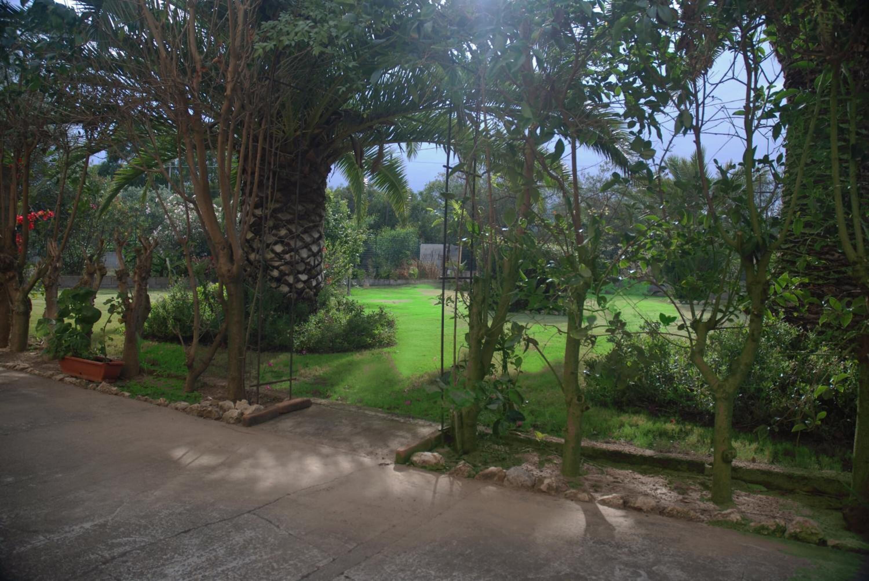 Un jardin agrémenté de divers arbres et arbustes, d’un chemin pavé et d’une pelouse à l’arrière-plan.