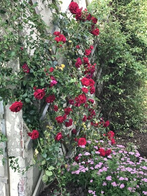 Garden - The Ball Alley (Stanley)