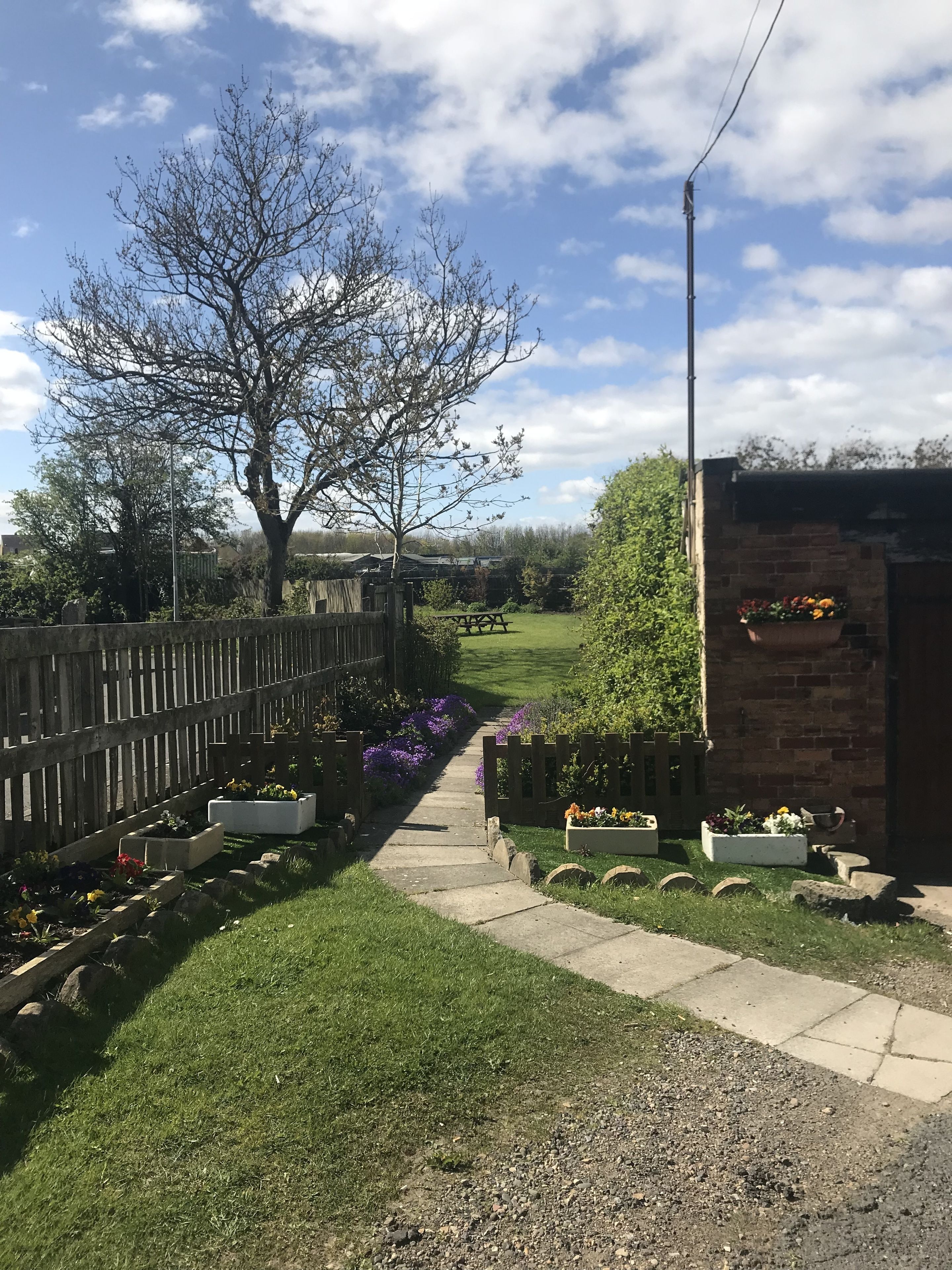 Garden