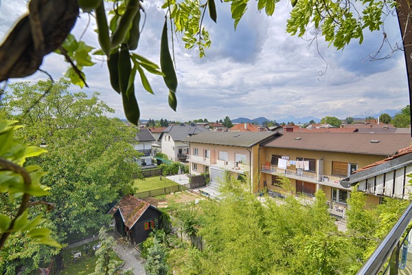 Superior Apartment, 2 Bedrooms | View from room