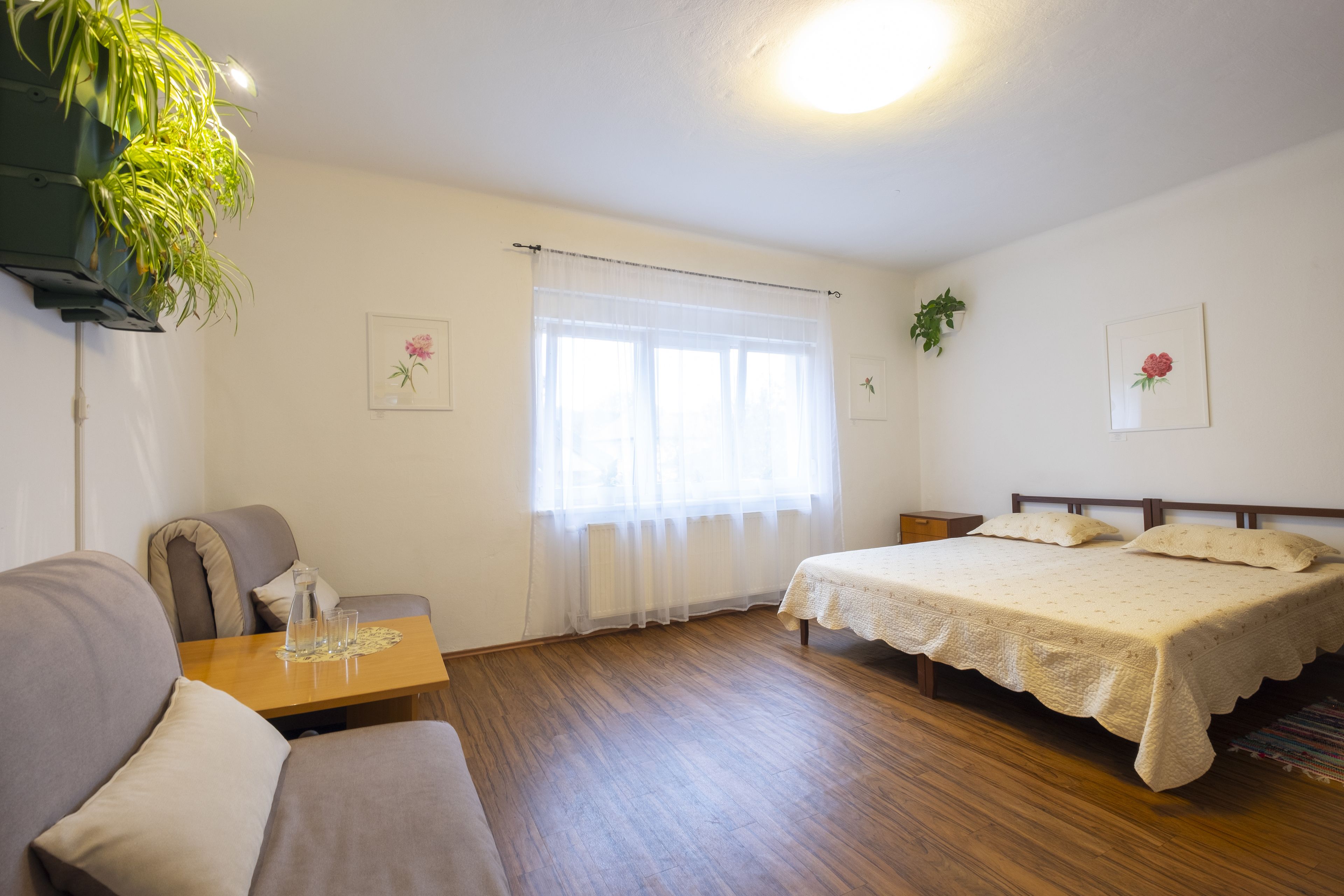 Ein Schlafzimmer mit einem Bett, einer Couch, einem kleinen Tisch mit Gläsern und einer Pflanze.