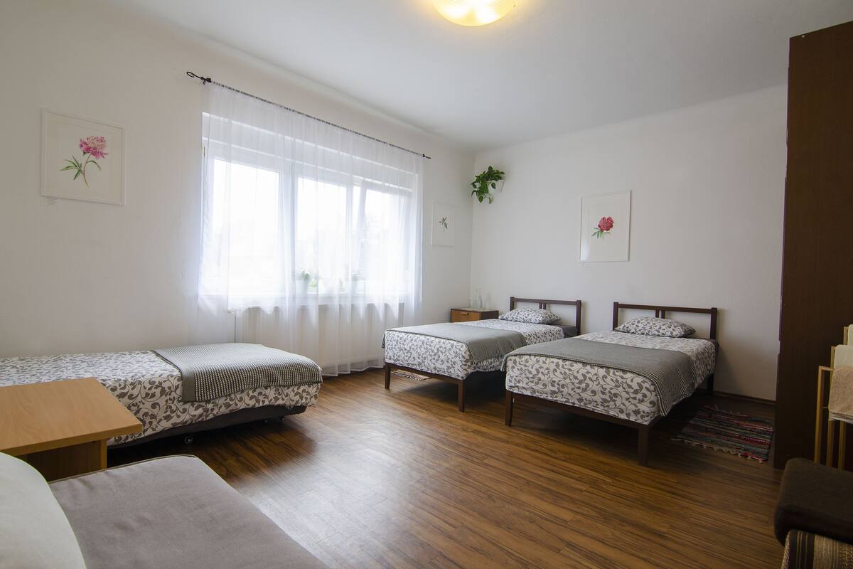 Une chambre avec deux lits simples, un plancher en bois et une fenêtre ornée de rideaux légers.