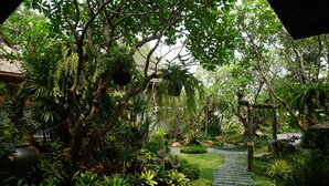 A garden with a stone pathway, various plants, and hanging plants. - Baansuwanburi (San Sai)