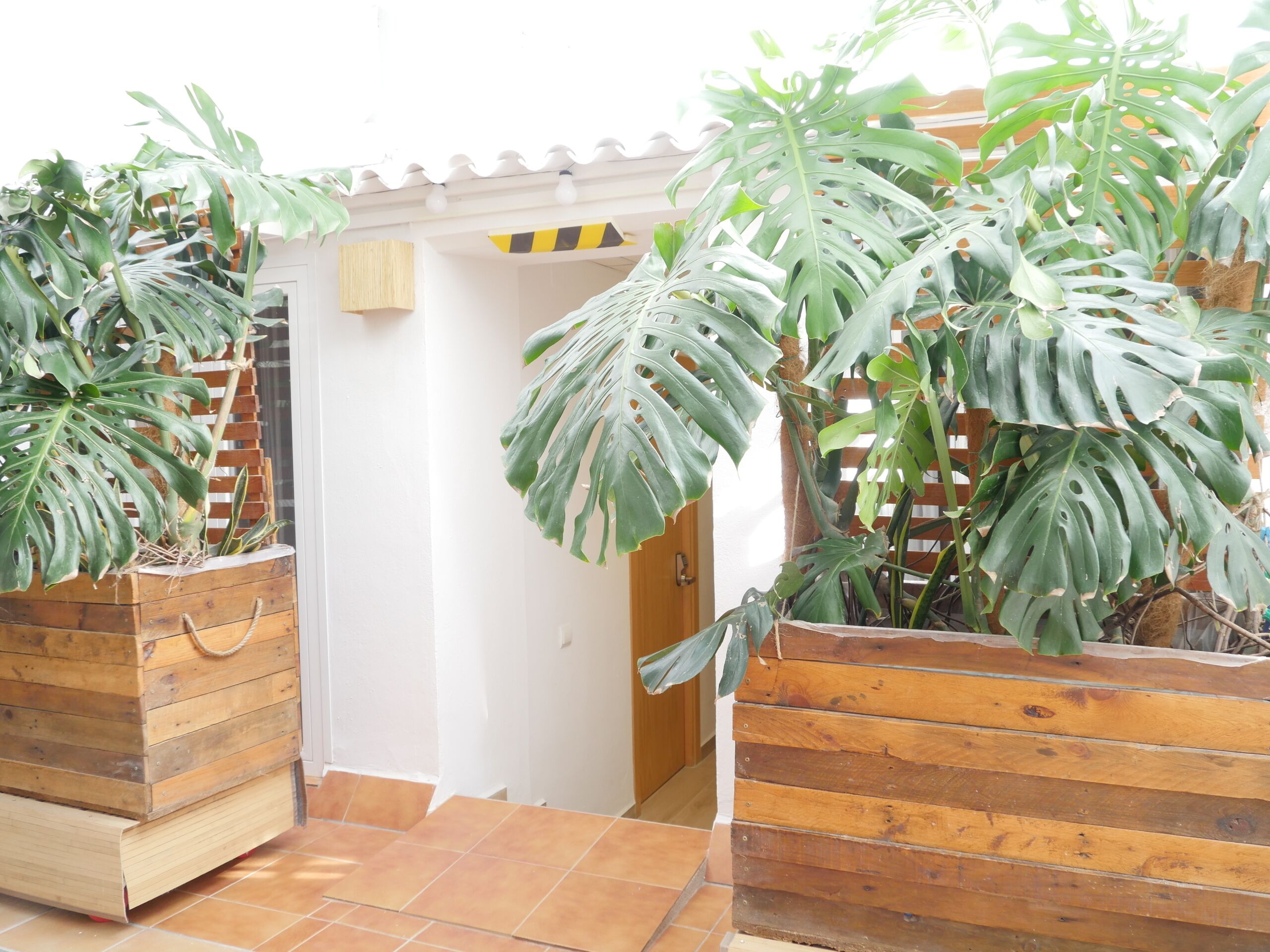 Photo - Nanit Rooms Ibiza Hostal