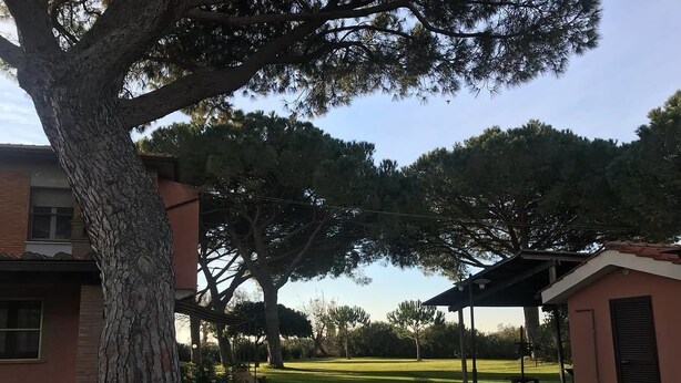 Ein Wohngebiet mit einem großen Baum, einer Rasenfläche und einem Gebäude mit überdachter Terrasse.