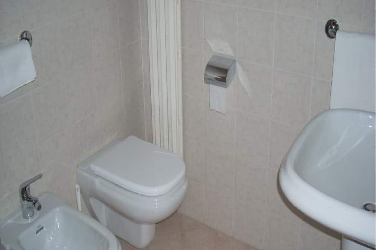 shower, free toiletries, hair dryer, bidet