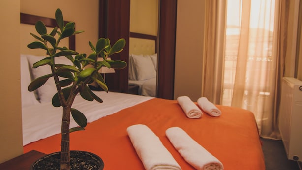 Ảnh chưa phân loại, 1 trong số 56 ảnh, nút