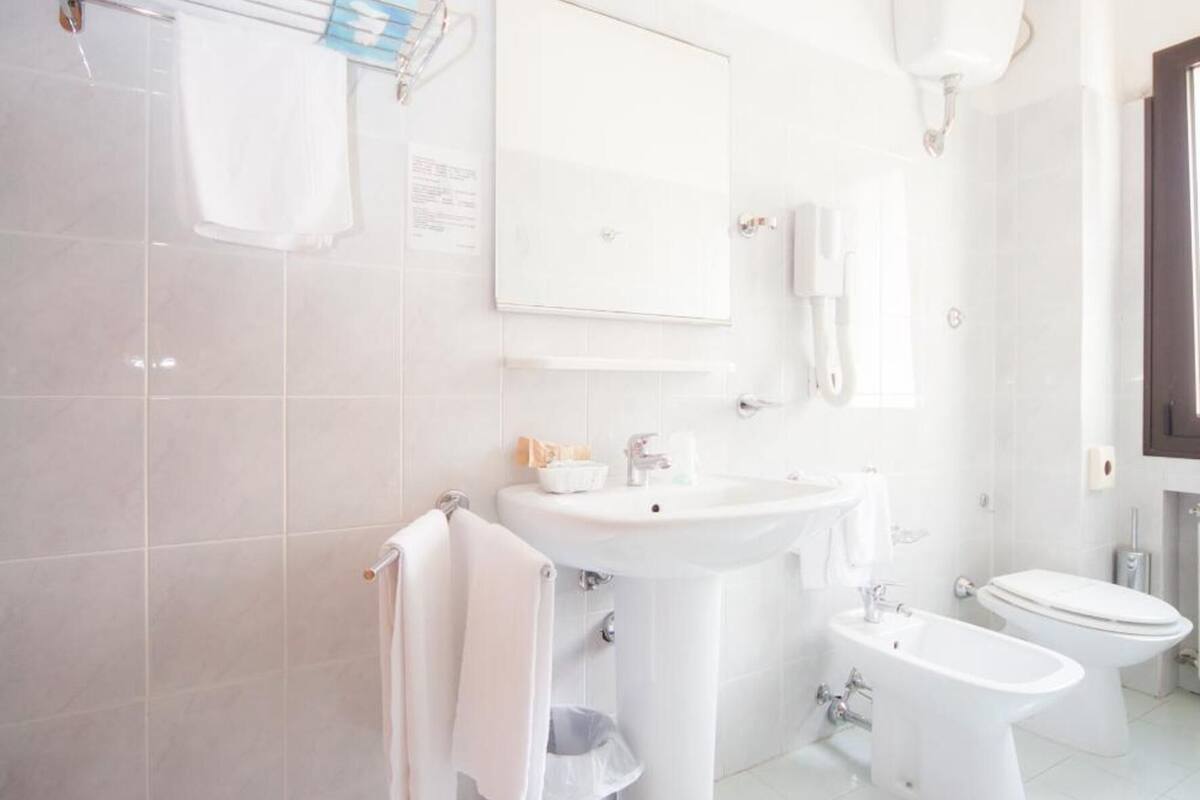shower, free toiletries, hair dryer, bidet