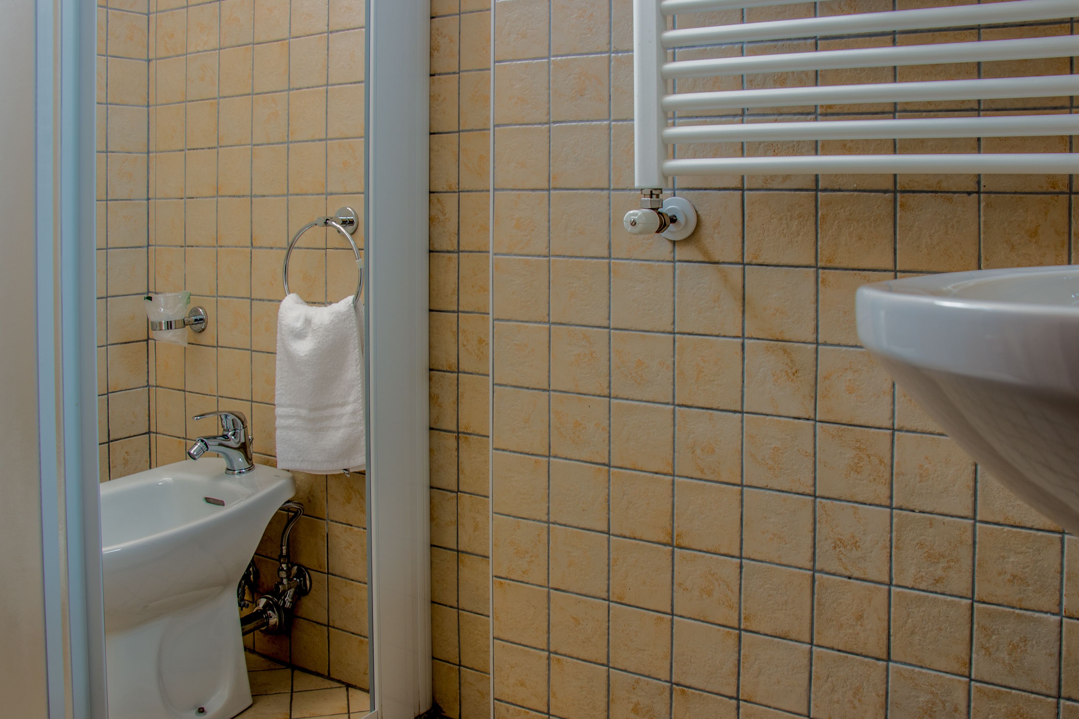 double or twin room | bathroom | shower, free toiletries, hair dryer, bidet