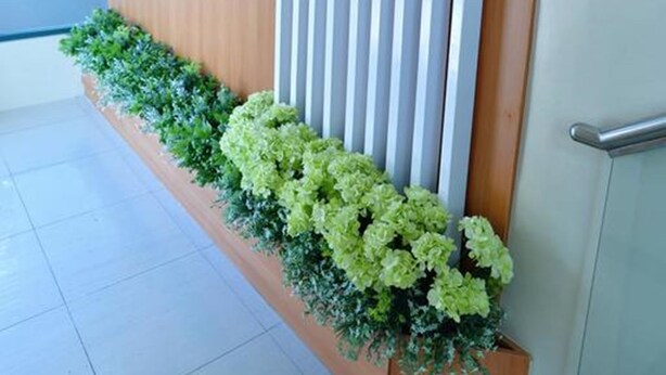 A reception desk with a wooden panel and a vertical white panel, a logo, and a planter with green foliage.