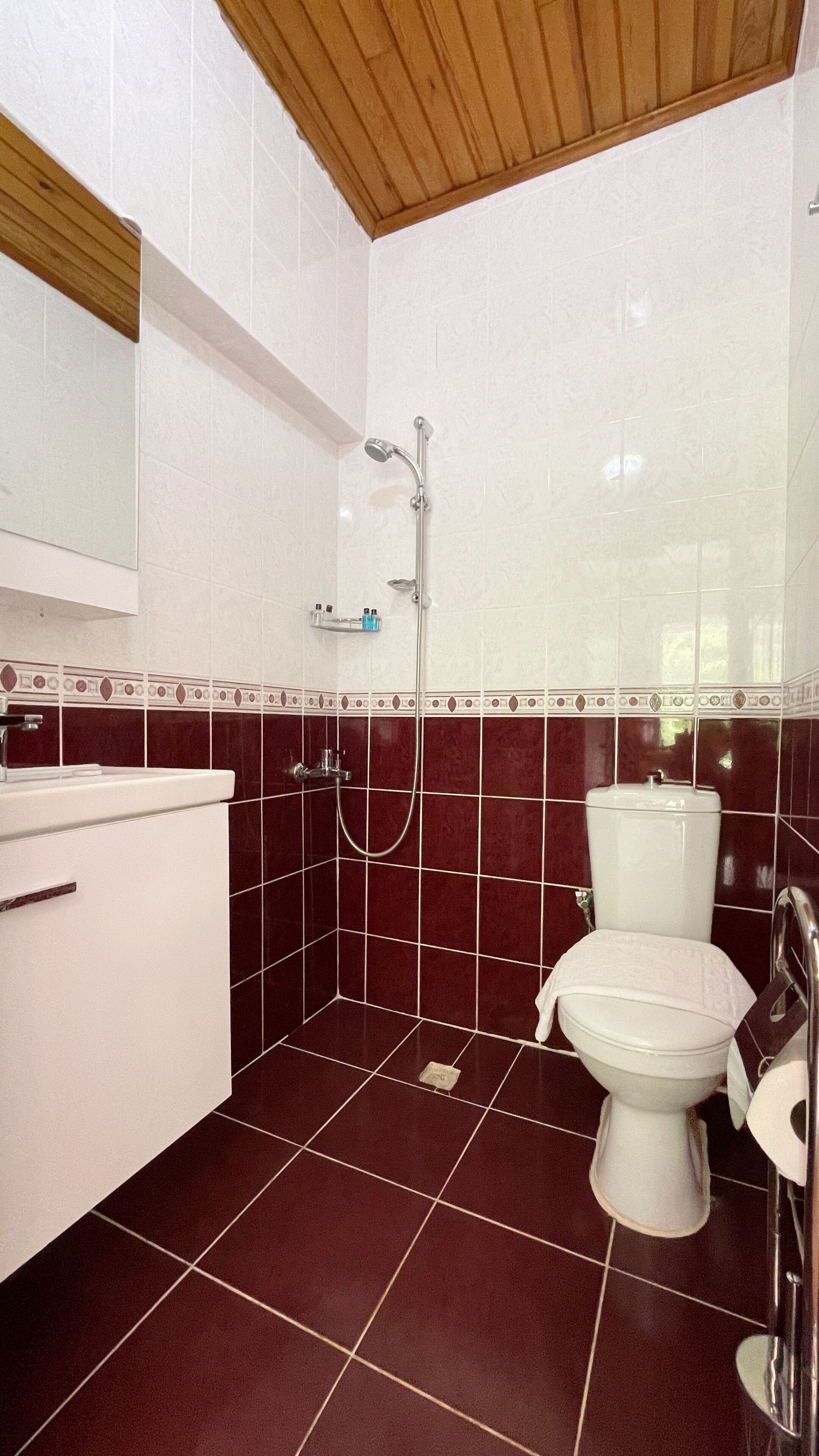 A bathroom with a white toilet, a shower, and a sink.