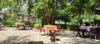 Garden Pansiyon