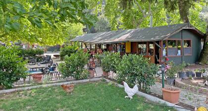 Garden Pansiyon
