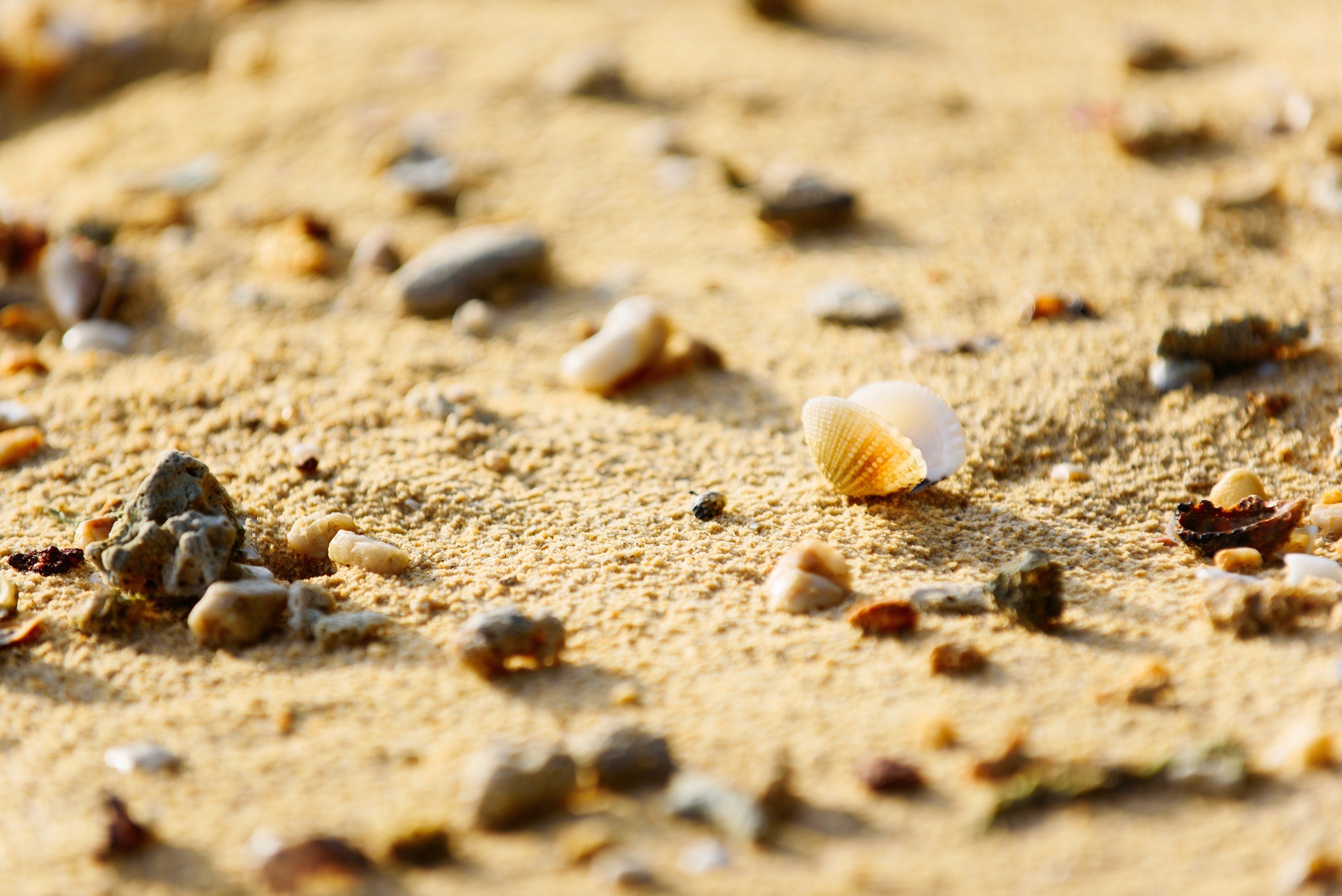private beach, sun-loungers, beach umbrellas, beach towels