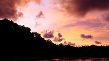 A sunset over a body of water with a silhouette of trees and a rocky shoreline.