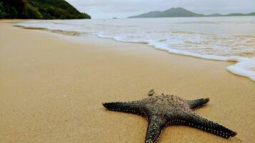 A starfish on a sandy beach with a view of the ocean and distant mountains.