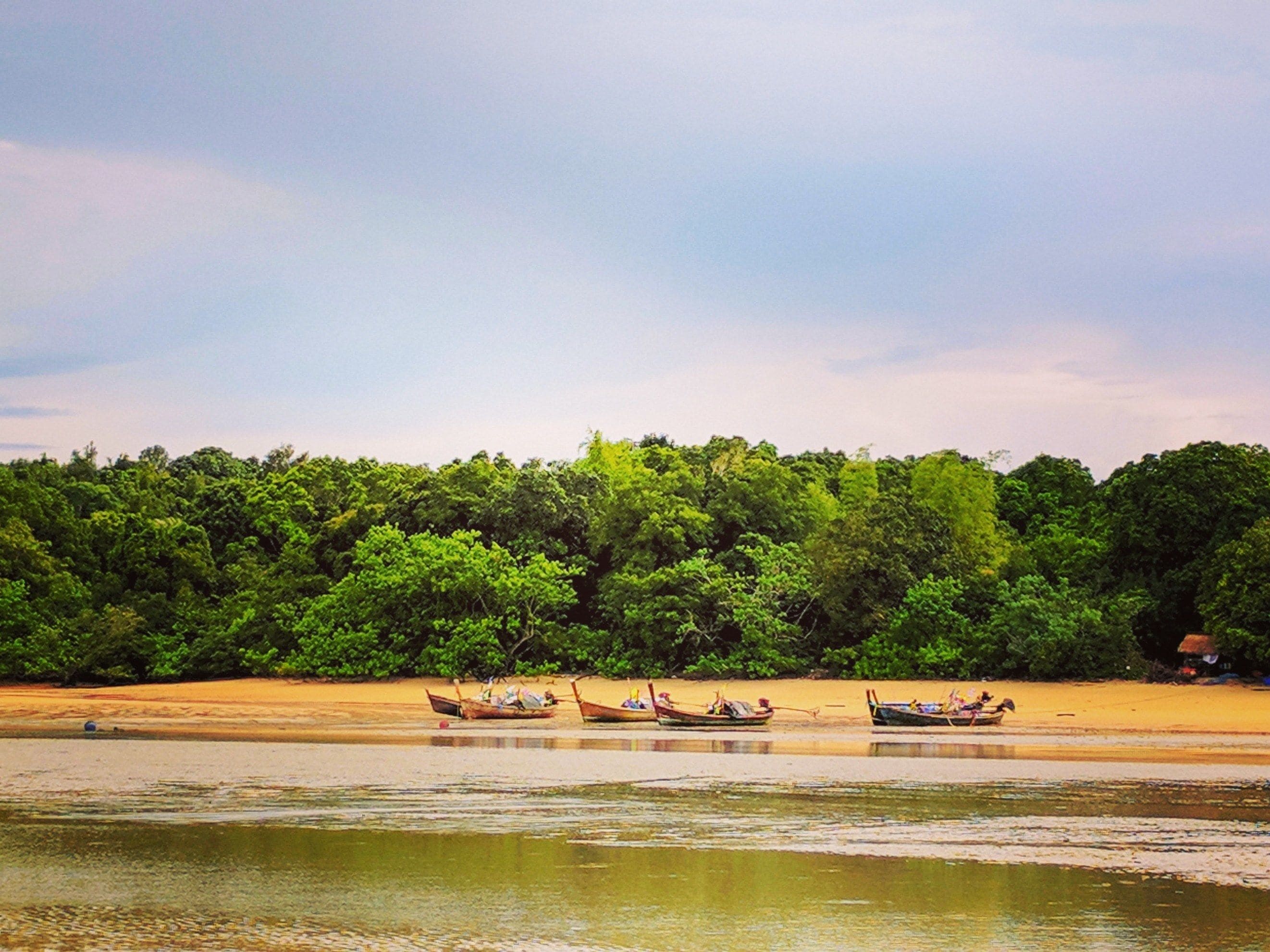 Orilla de río con barcos anclados cerca de la costa, rodeada de un follaje verde y denso.