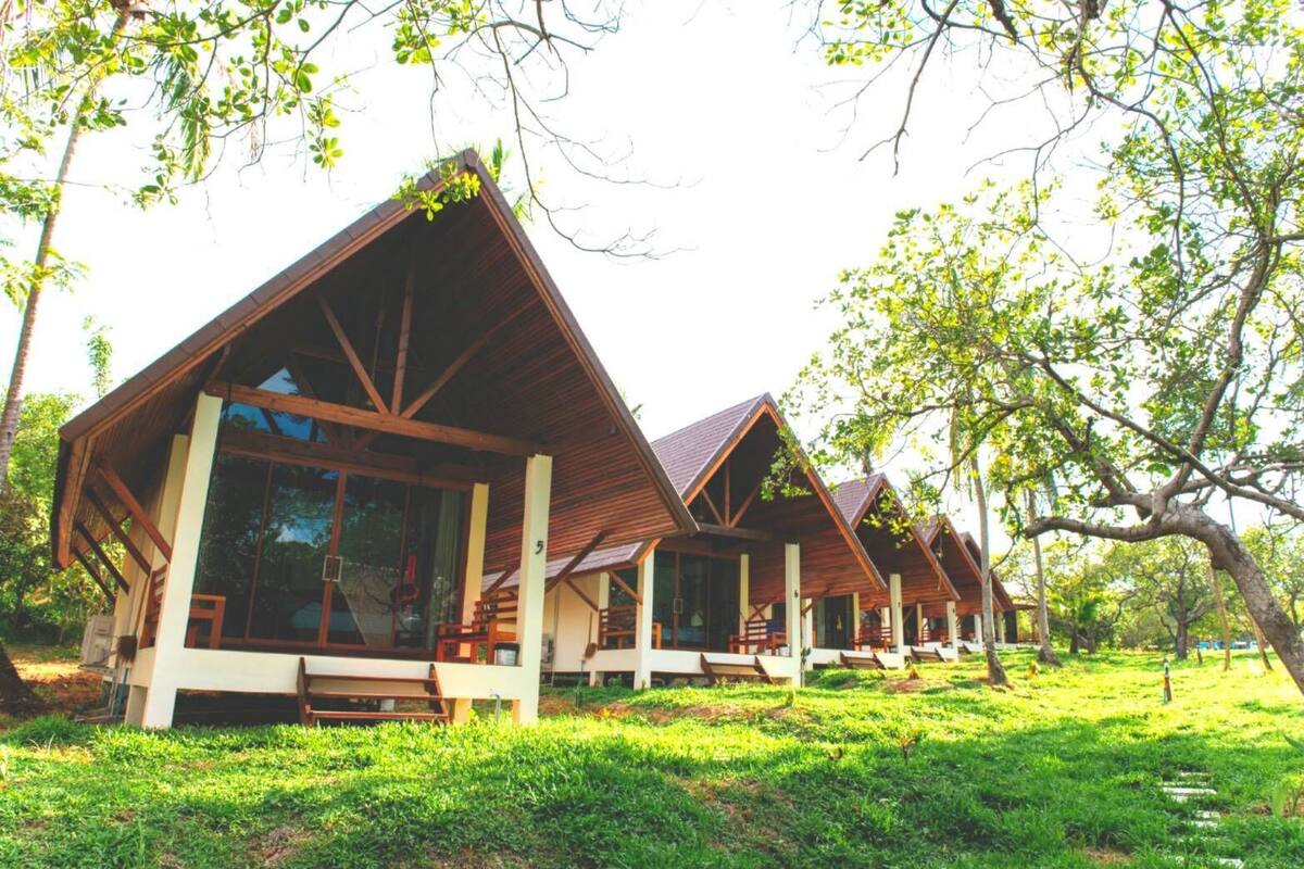 A row of wooden cabins with large windows, set in a grassy area with trees.