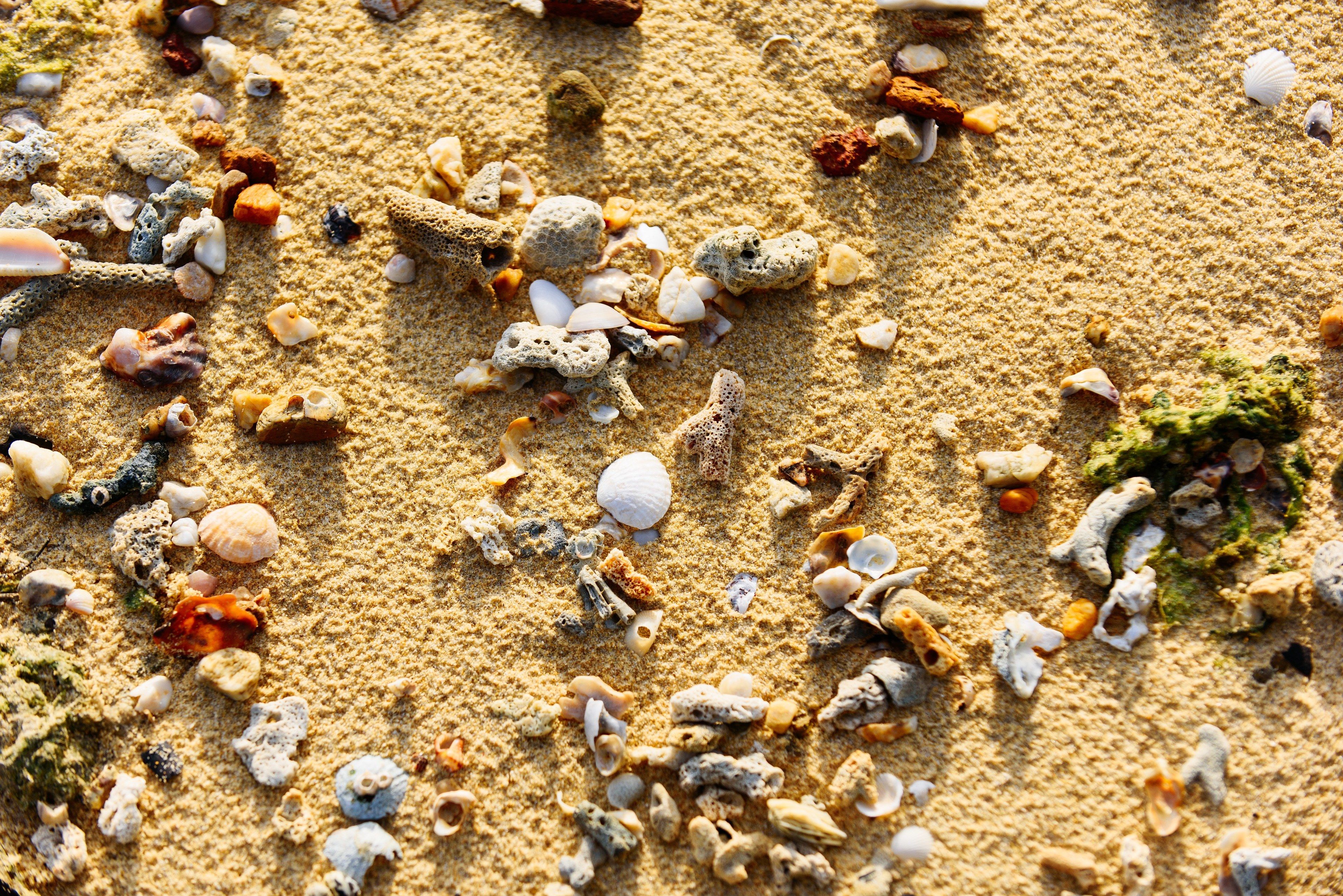 private beach, sun-loungers, beach umbrellas, beach towels