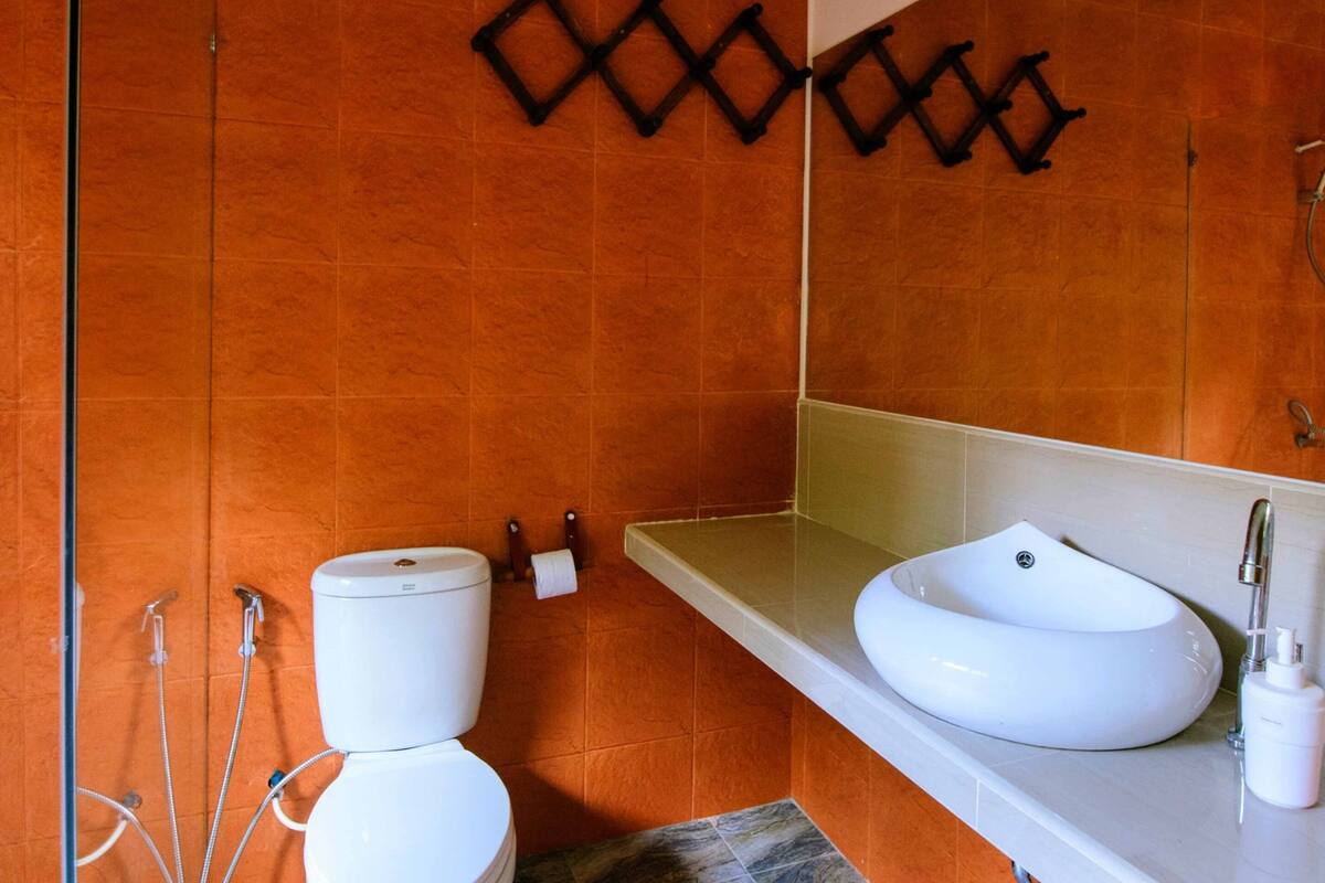 shower, rainfall showerhead, hair dryer, bidet