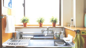 A kitchen with a sink, a drying rack, a dish soap dispenser, and a window with potted plants. - Kobe Sannomiya R2 Hostel (Kobe)