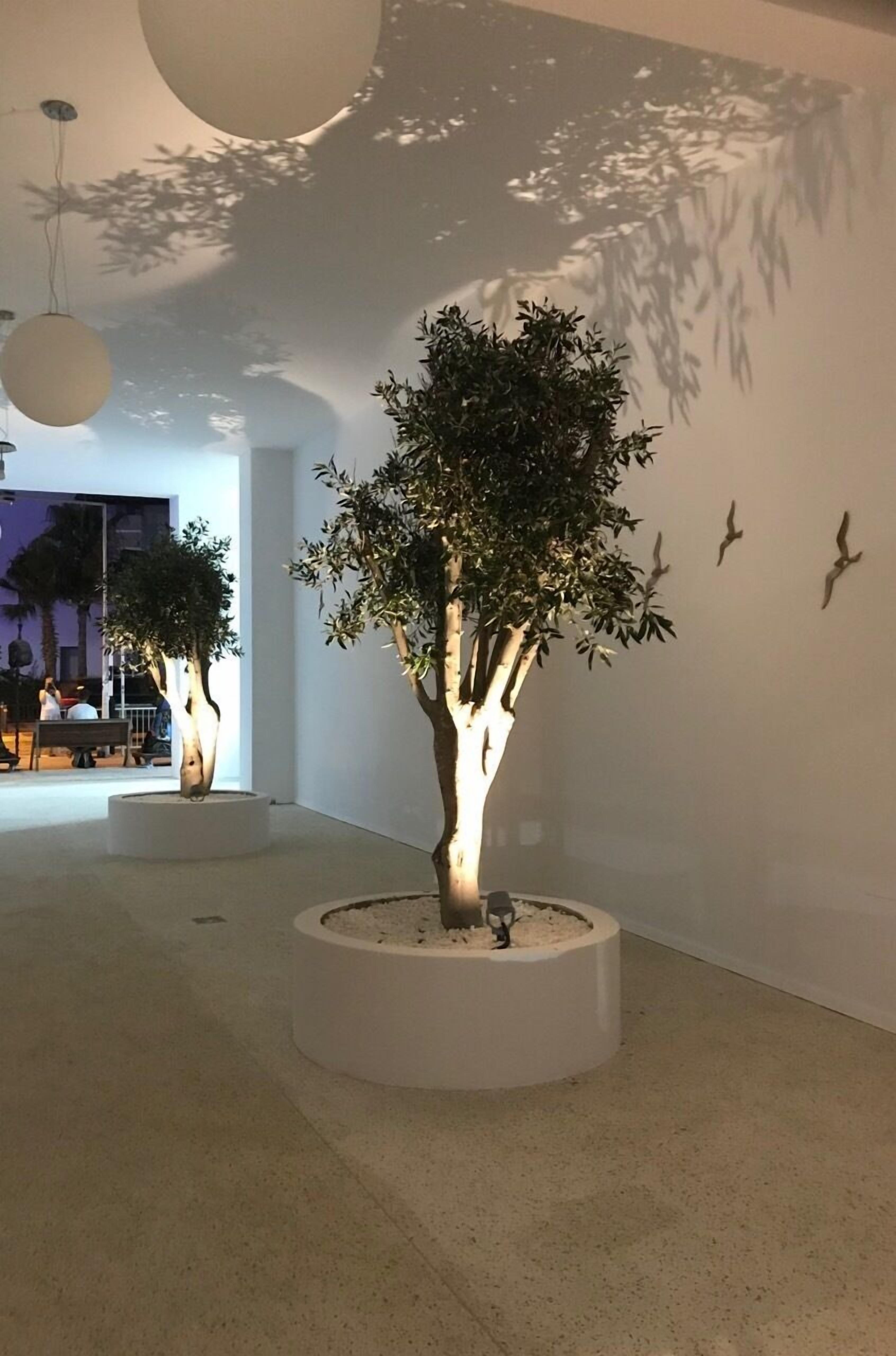 Foto - Abacus Suites