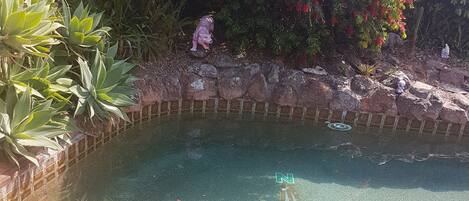 Outdoor pool, open 9 AM to 10 PM, pool umbrellas