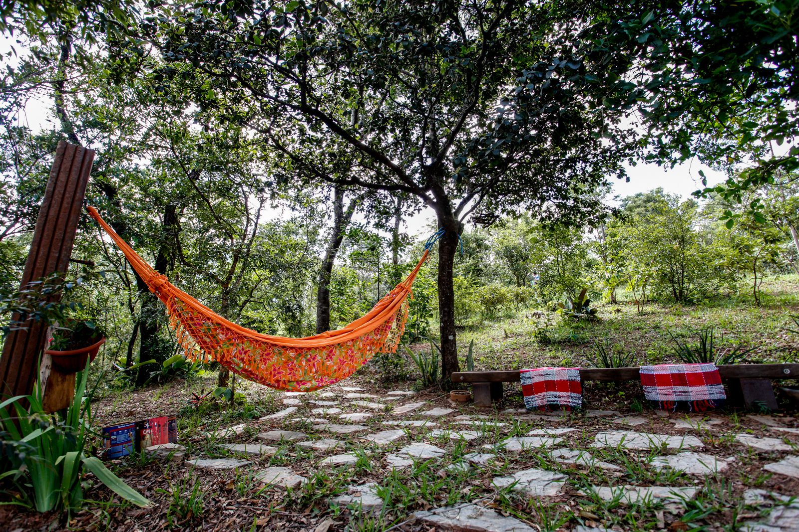 A hammock hanging between trees in a garden with stone pathways and potted plants.