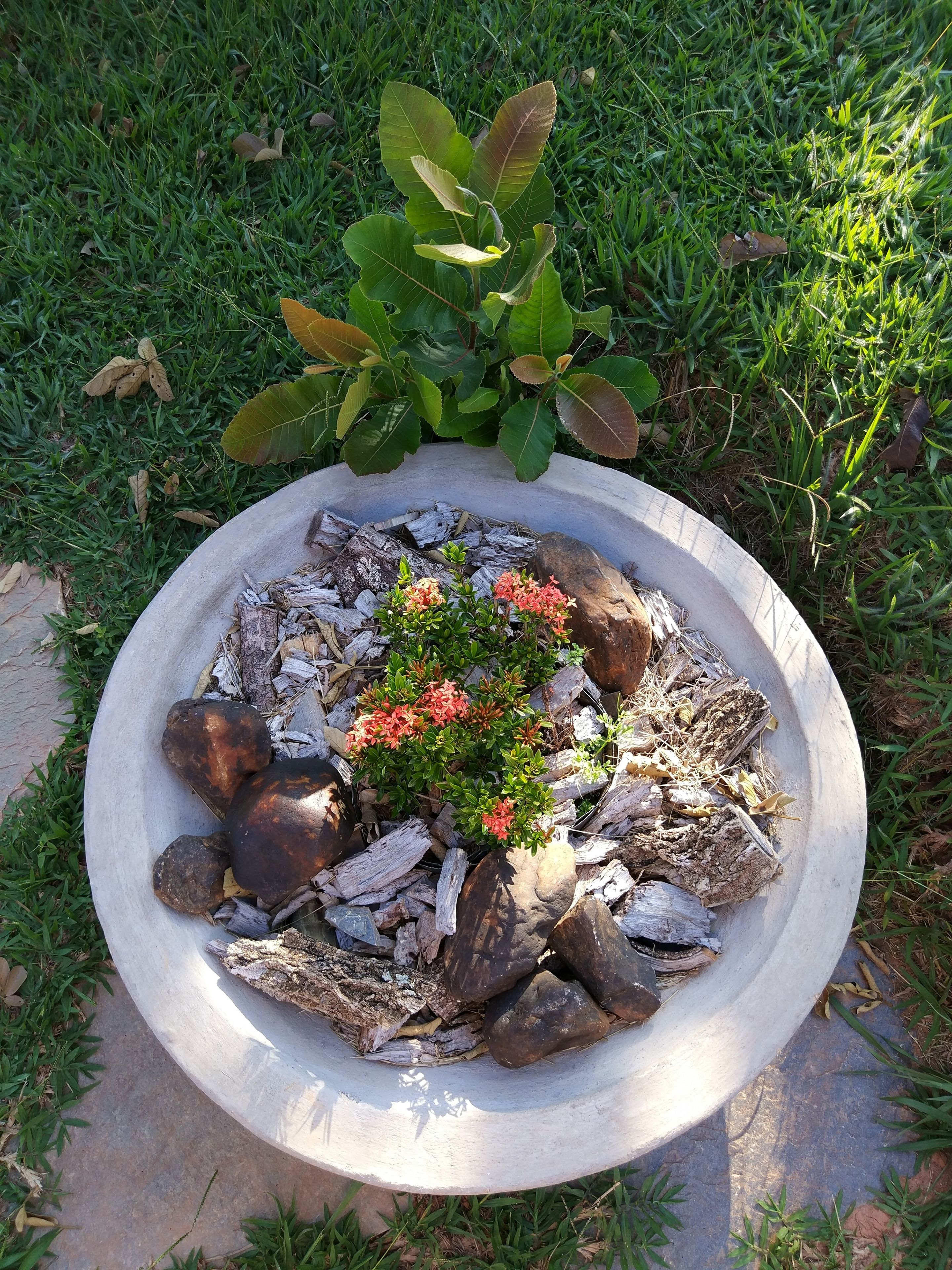 花園